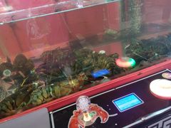 -八一路好吃街(雨田商务大厦店)