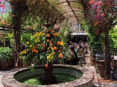 -The Grounds of Alexandria