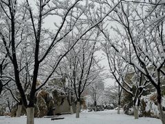 -堤角公园