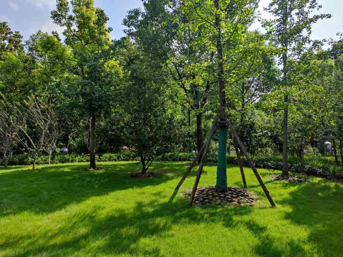 凉城公园-"里面可以学轮滑 幼儿园放学后去练习,很多.