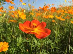 iphone_upload_pic-漩门湾国家湿地公园