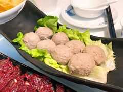 -陈记顺和牛肉火锅馆(天河北路店)