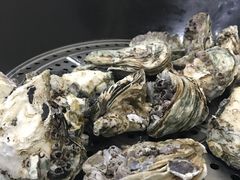 -蚝专家(北滘店)
