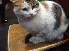 -老蜀人川菜馆(中关村店)