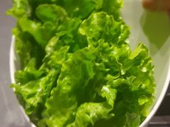 生菜-贵宾牛·潮汕牛肉火锅(珠池总店)
