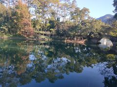 -广州市流溪河国家森林公园