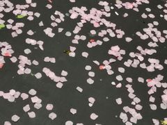 -瓦肆 VAS ear(普陀沪西店)