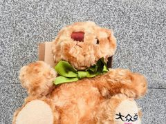 -VT101维多利广场