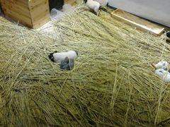 android_upload_pic-盐城大有境(解放南路店)