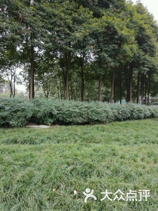 神仙樹公園-圖片-成都周邊遊-大眾點評網