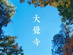 -大觉寺-停车场