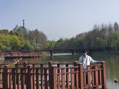 -自然谷恐龙园