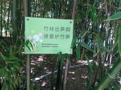 -紫竹院公园冰场