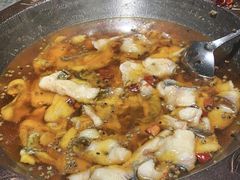 -雲蜀龙阁·金牌水煮鱼(方庄店)