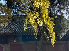 -万寿八仙宫