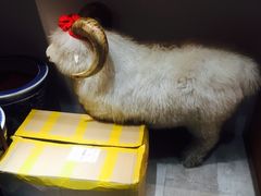 大堂-羊肉街口老银川滩羊涮肉馆