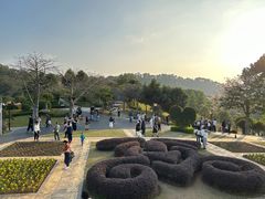 -东莞植物园