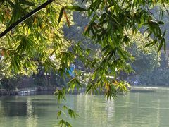 -晓港公园