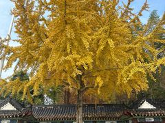 -东坡赤壁风景名胜区