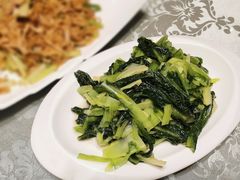 油麦菜-丽华园(青少年宫店)