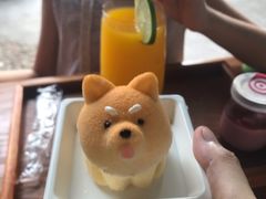 -柴犬高等学院·狗咖·柴犬售卖·宠物训练