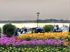 -丁香湖公园