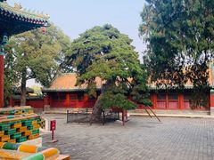 -北海公园-停车场