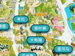 -广州长隆野生动物世界