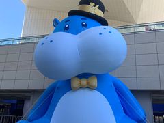 -盒马X会员店(王府井奥莱UP TOWN店)