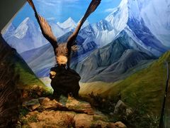 -陕西自然博物馆