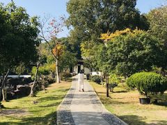 -灵岩山风景区