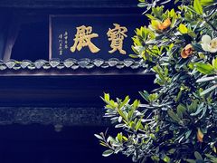 -峨眉山报国寺