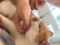 -瑞派申生动物医院·24H夜诊·国际动物医疗中心·骨外科(吴中路店)