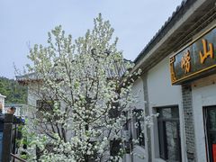 -崂山仰口游览区