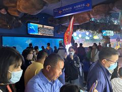 -烟台海昌鲸鲨海洋公园