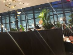 -大树餐厅(红旗街万达店)