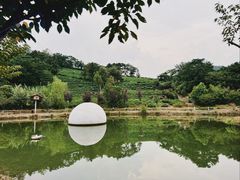 -南北湖风景区
