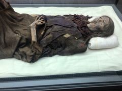 -巴音郭楞蒙古自治州博物馆