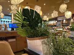 -原石牛扒·约会餐厅(龙城万科里店)