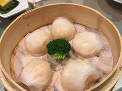 -陶陶居海鲜酒家(新马路店)