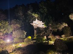-顺峰山公园