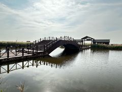 -南大港湿地风景区