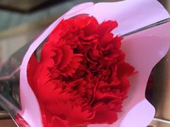 -海底捞火锅(群光广场店)