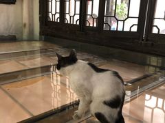 -猫的天空之城概念书店(杭州南宋御街店)