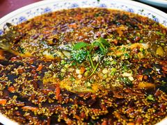 杨记招牌鱼-杨记隆府(白象街店)