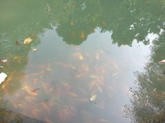 -广东温泉宾馆