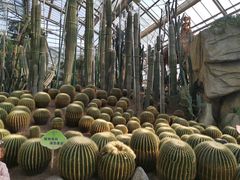 -南山植物园