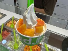 -Salud撒露欧洲冻酸奶(蓝色港湾店)