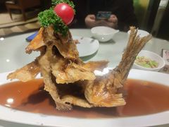 -城南往事·鲁菜济南菜(长清园博园恒大绿洲店)