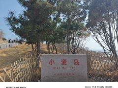 -小麦岛公园